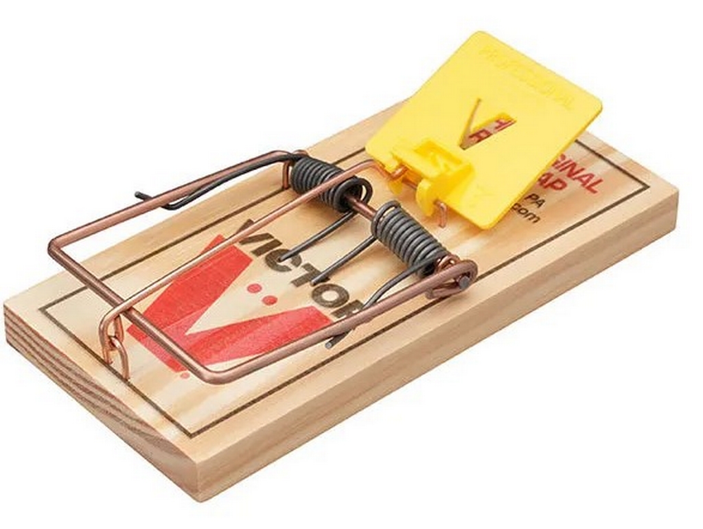 Victor trappe à rats